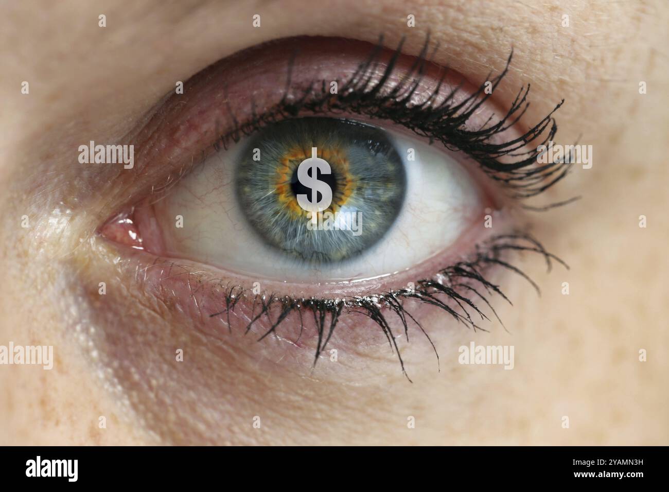 Oeil avec signe dollar dans le concept de pupille Banque D'Images