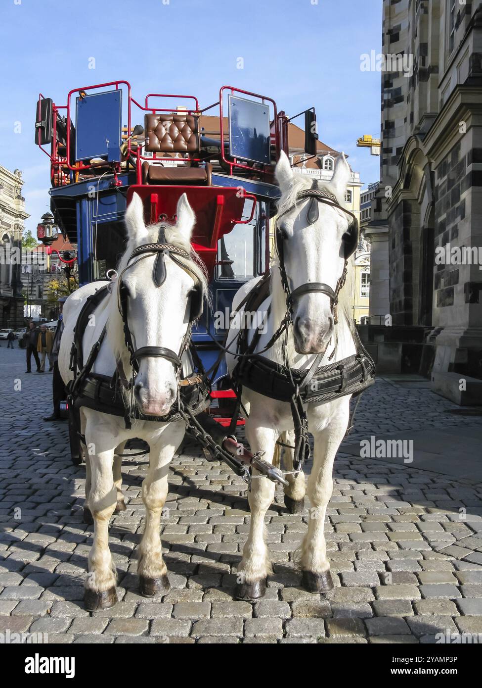 Deux chevaux attelés au chariot, Dresde, Allemagne, Europe Banque D'Images