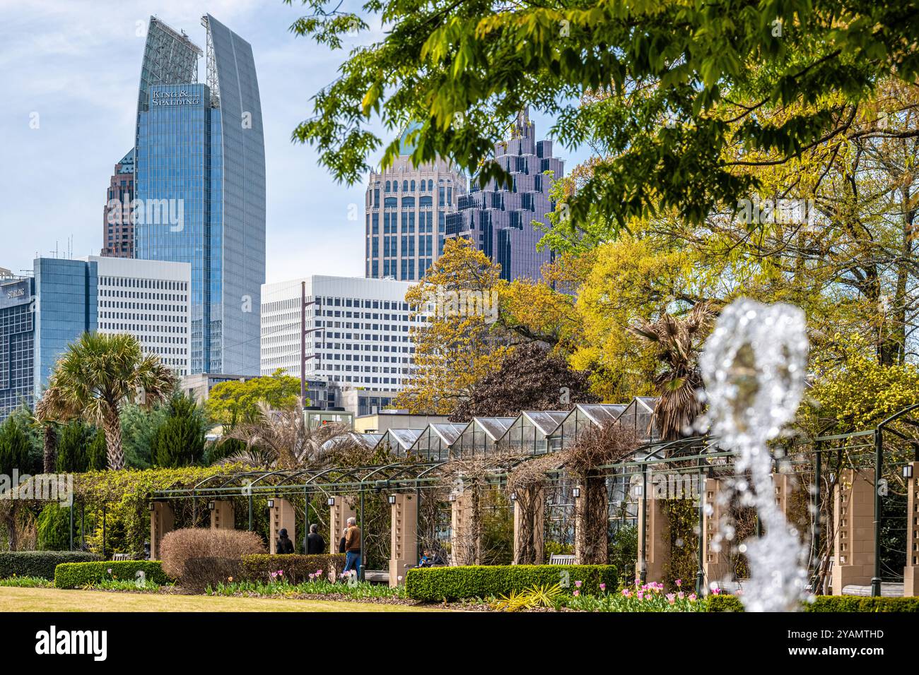 Vue sur Midtown Atlanta, Géorgie, horizon depuis le jardin botanique d'Atlanta. (ÉTATS-UNIS) Banque D'Images