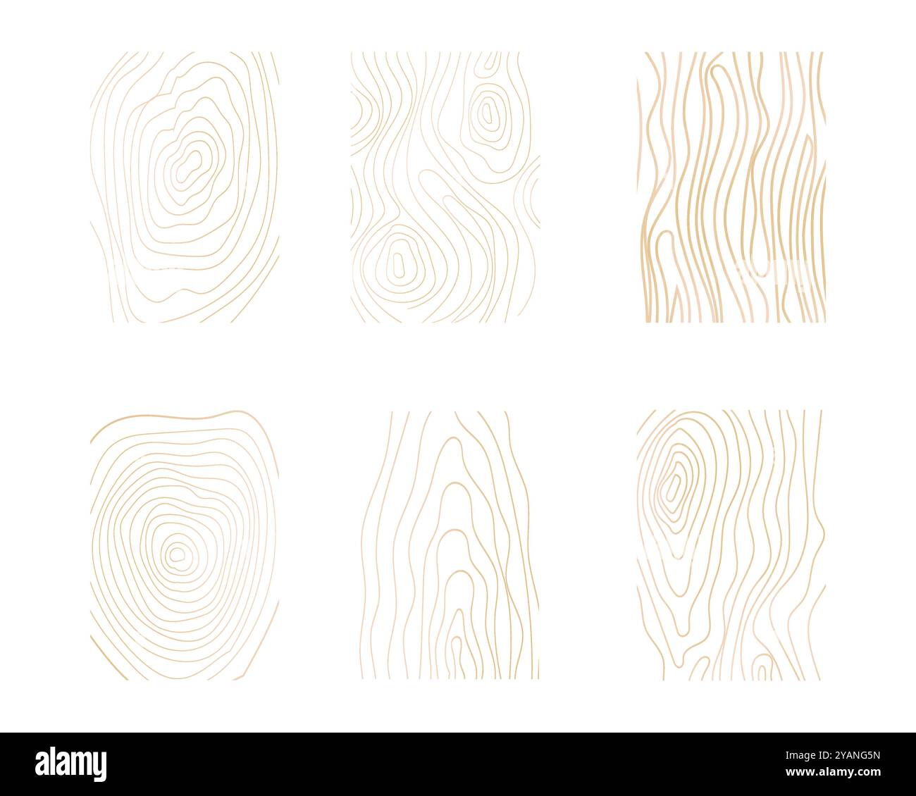 Collection d'anneaux d'arbre à ligne mince dorée. Cercle élégant de texture de section en bois doré. Contour de grille géographique de carte topographique. Lignées de bois. Illustration vectorielle Illustration de Vecteur