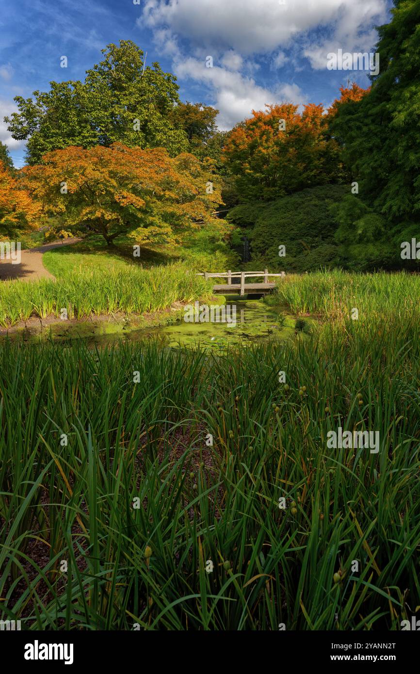 Un flux country anglais en été Banque D'Images
