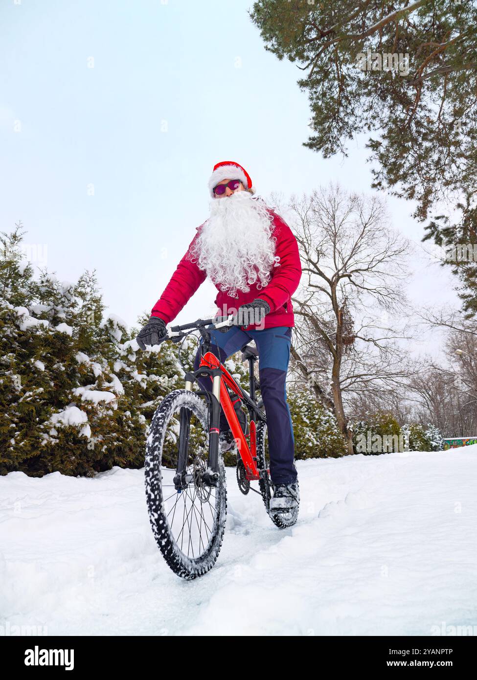 Le Père Noël fait du vélo en hiver. Un gars avec une barbe et portant un chapeau de Père Noël roule dans la neige profonde sur un vélo rouge Banque D'Images