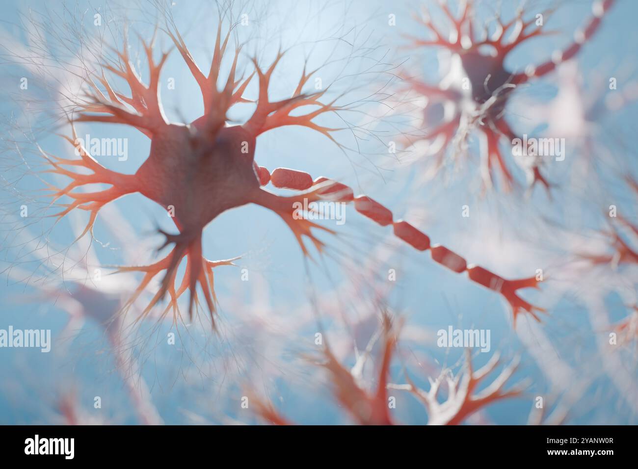 Cellules neuronales dans le cerveau humain. Neurologie et concept de réseaux neuronaux. Illustration de rendu 3D. Banque D'Images