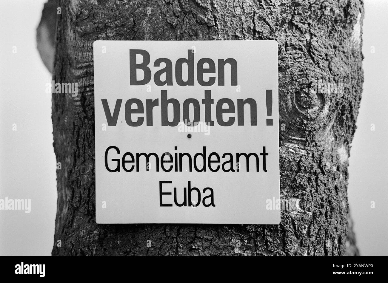 Talsperre Euba 06.06.1994, Chemnitz/ Euba, Talsperre Euba, Baden verboten in der Talsperre Euba, marode Staumauer *** barrage Euba 06 06 1994, Chemnitz Euba, barrage Euba, baignade interdite dans le barrage Euba, mur de barrage délabré Banque D'Images