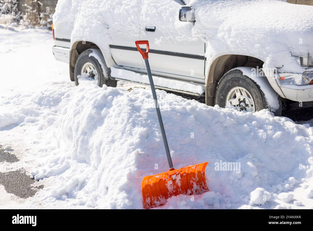 Une pelle à neige orange sort d'une déneigement devant une voiture SUV blanche enneigée par une journée d'hiver ensoleillée Banque D'Images