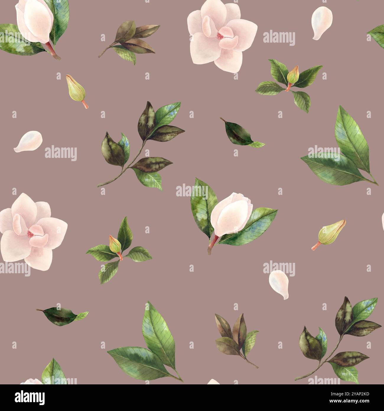 Motif aquarelle avec fleurs de magnolia, feuilles vertes et branches. Banque D'Images