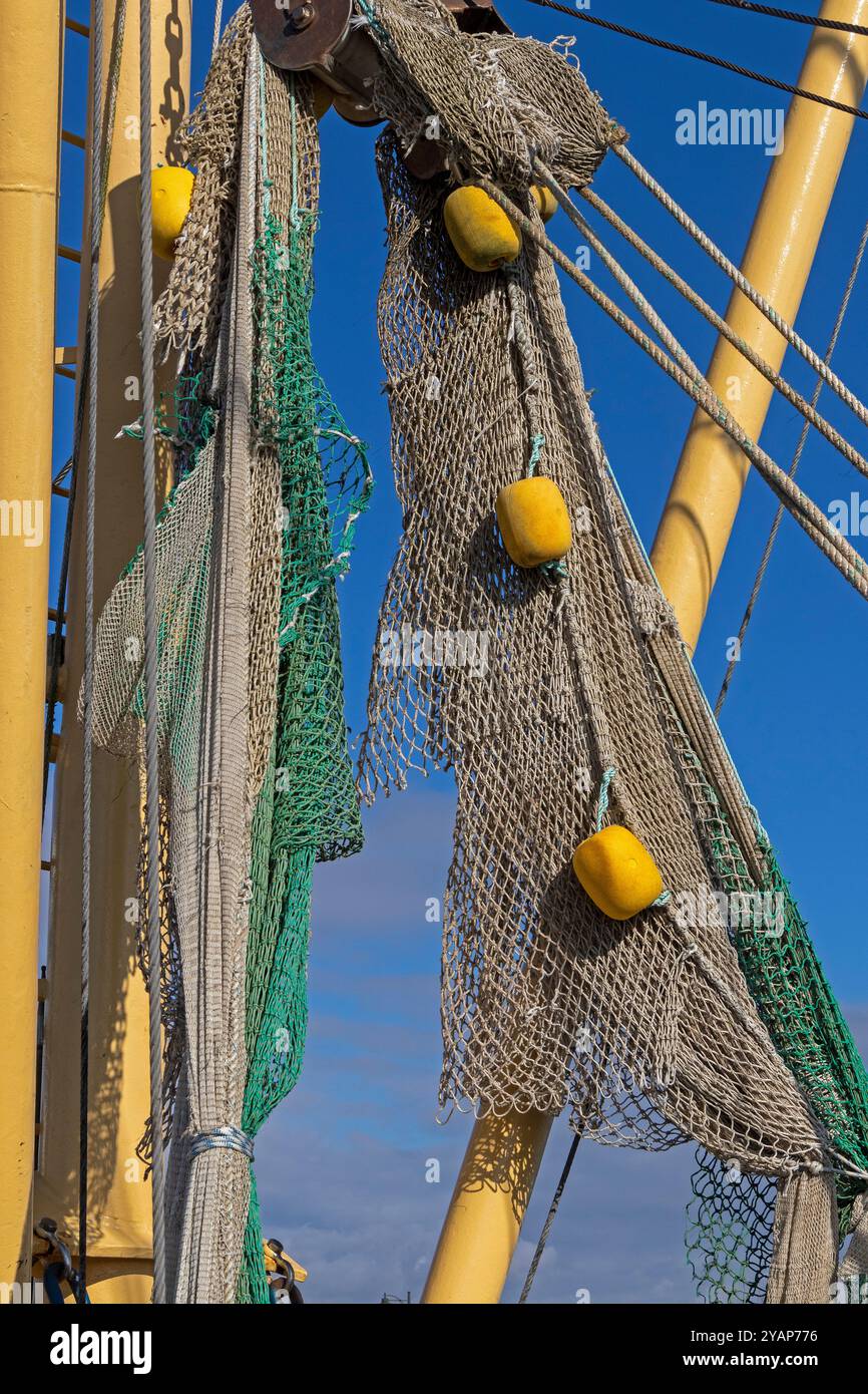 Détail, filet de pêche, coupe-pêche, port, Strucklahnungshörn, Nordstrand, Frise du Nord, Schleswig-Holstein, Allemagne Banque D'Images