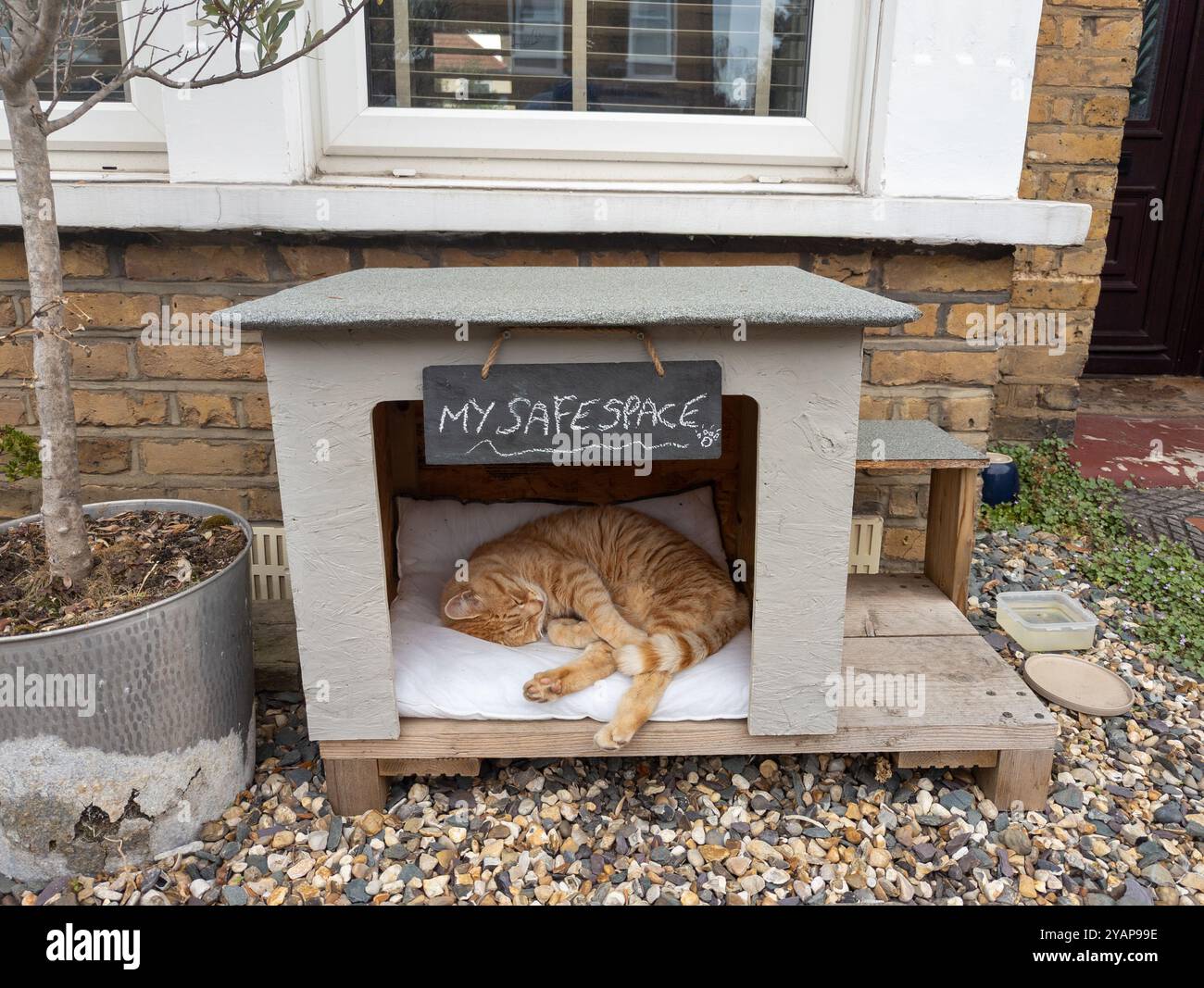 Chat de compagnie dormant dans sa propre cabane d'espace sûr devant la maison, Londres, Royaume-Uni Banque D'Images