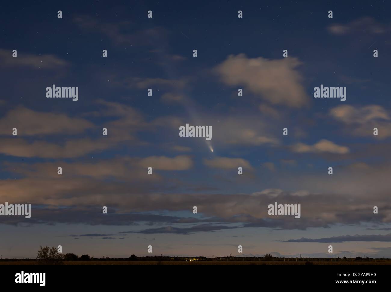 La comète C/2023 A3 (Tsuchinshan-ATLAS) survole le ciel nocturne d'Ottawa, Canada, le 14 octobre 2024 Banque D'Images