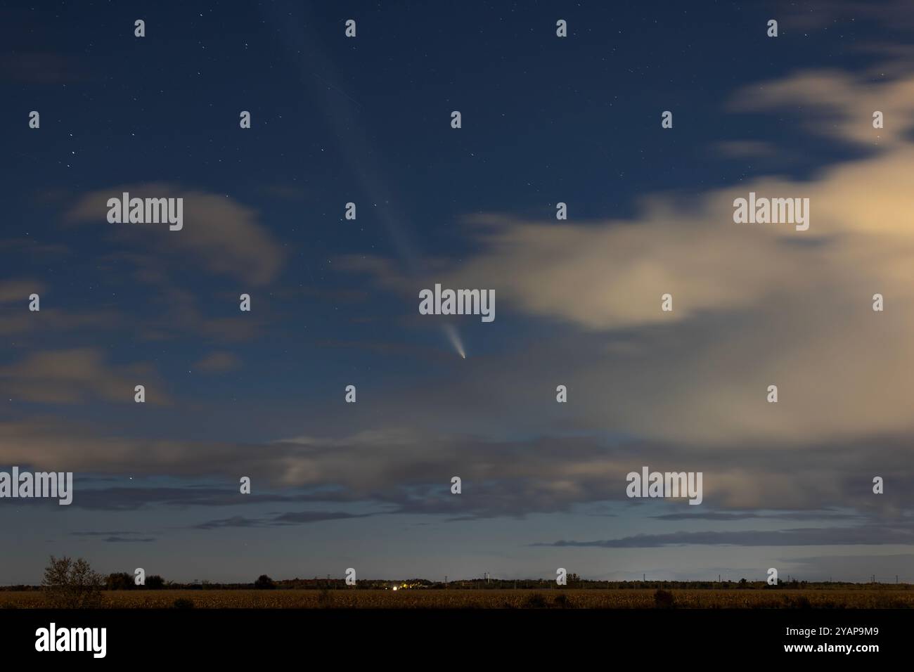 La comète C/2023 A3 (Tsuchinshan-ATLAS) survole le ciel nocturne d'Ottawa, Canada, le 14 octobre 2024 Banque D'Images