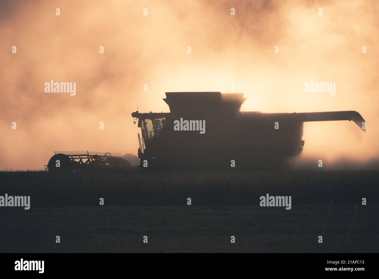 Une moissonneuse-batteuse john deere fait sauter de gros nuages de poussière lors de la récolte du soja en début de soirée d'octobre. Combiner est principalement silhouette contre les nuages Banque D'Images