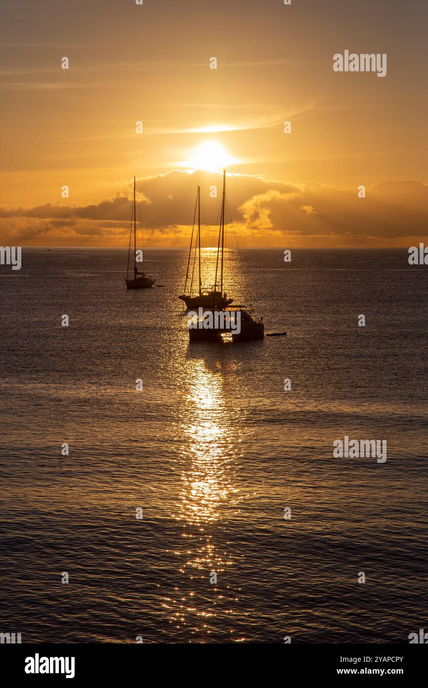 Beau lever de soleil doré sur des yachts dans le port de Machico , la deuxième plus grande station balnéaire de l'île portugaise de Madère Banque D'Images