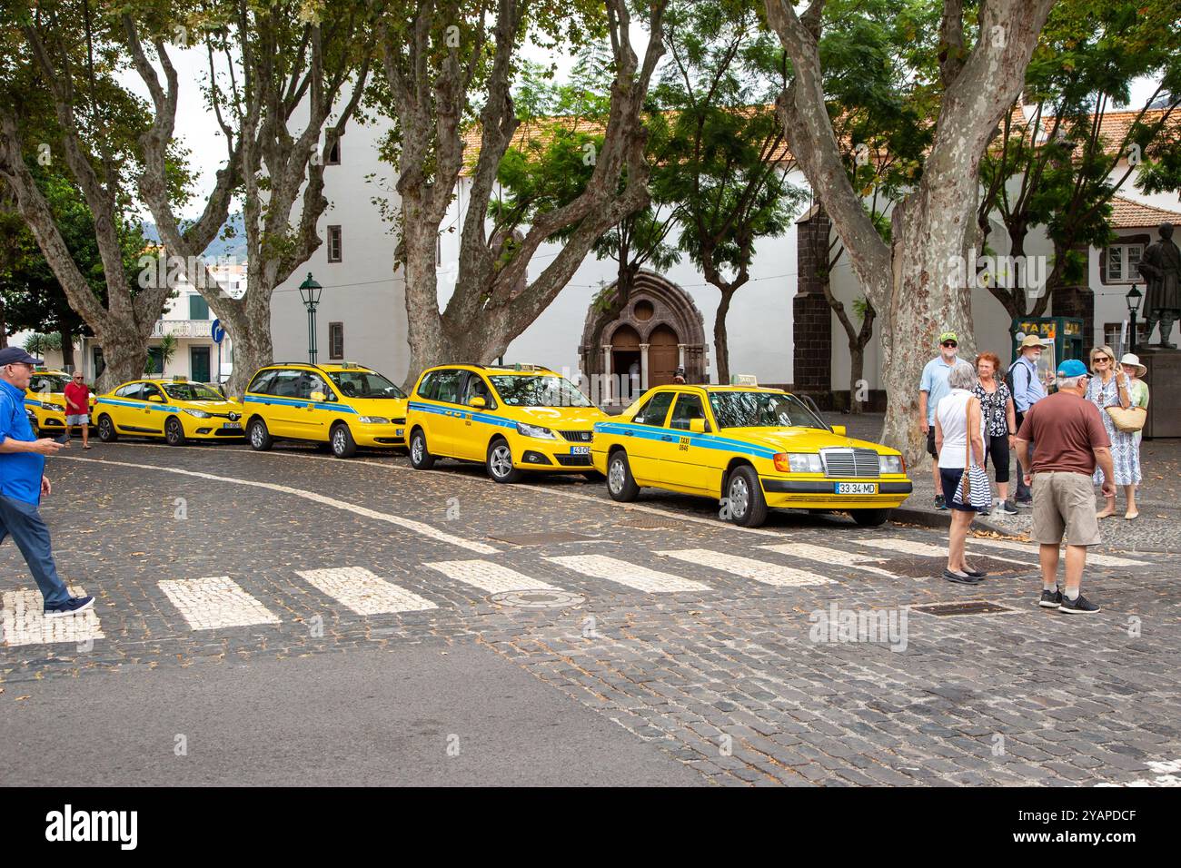Une rangée de taxis jaunes à Machico sur l'île portugaise de Madère Banque D'Images