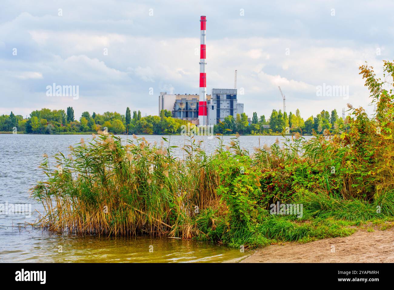 Roseaux bordant la rive d'un lac avec une usine d'incinération des déchets en arrière-plan, encadrée par des arbres verts sous un ciel nuageux. Banque D'Images