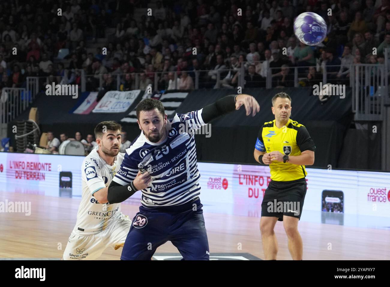 29 Youenn Cardinal de Cesson Rennes Métropole Handball et 2 Romain GIRAUDEAU de FENIX Toulouse Handball lors du championnat de France, Liqui Moly Starligue match de handball entre Cesson-Rennes et Fenis Toulouse le 12 octobre 2024 au Glaz Arena de Cesson-Sévigné, France - photo Laurent Lairys / DPPI Banque D'Images