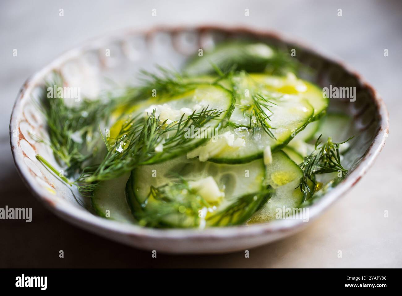 Salade fraîche de concombre finement tranchée et d'aneth avec de l'ail frais et de l'huile d'olive dans un bol en céramique rustique fait à la main. Banque D'Images