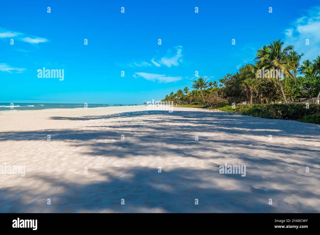 Une plage sereine à Naples, en Floride, présente du sable blanc et doux, des vagues douces lançant sur le rivage, et des palmiers se balançant dans la lumière chaude du soleil Banque D'Images