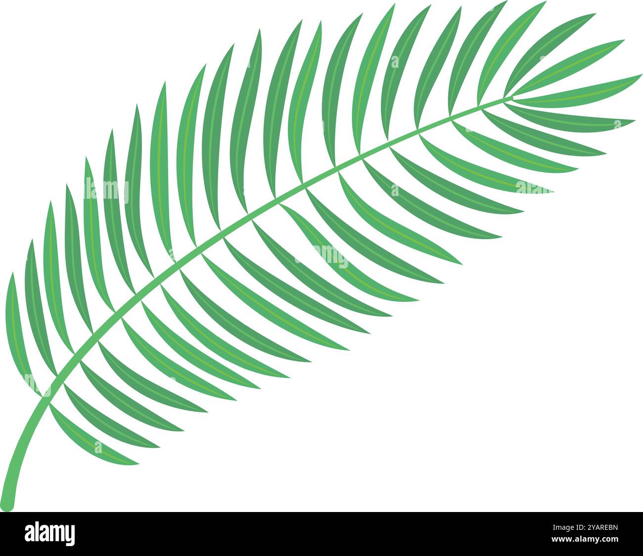 Feuille de palmier tropical vert poussant vers le haut, isolée sur fond blanc. Parfait pour les designs liés à la nature, à l'été ou aux thèmes tropicaux Illustration de Vecteur Feuille de palmier tropical vert poussant vers le haut, isolée sur fond blanc. Parfait pour les designs liés à la nature, à l'été ou aux thèmes tropicaux Illustration de Vecteur