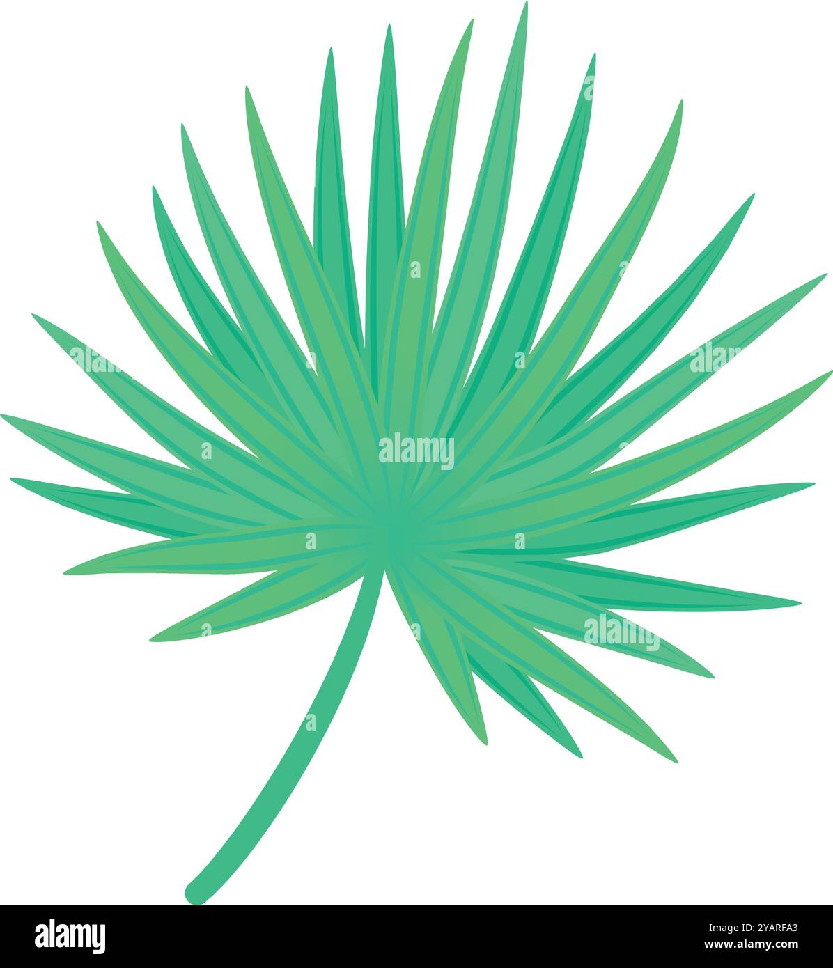Feuille de palmier tropical dans un vert vif, symbolisant les tropiques luxuriants et les climats chauds, parfait pour ajouter une nature exotique à n'importe quel projet Illustration de Vecteur Feuille de palmier tropical dans un vert vif, symbolisant les tropiques luxuriants et les climats chauds, parfait pour ajouter une nature exotique à n'importe quel projet Illustration de Vecteur