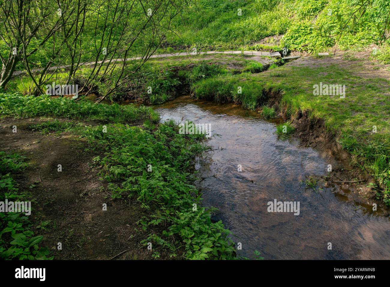 Ruisseau dans le parc paysager Mitino - puits d'eau (source) dans le coin supérieur droit à la mi-mai (banlieue de Moscou - quartier Mirino) Banque D'Images