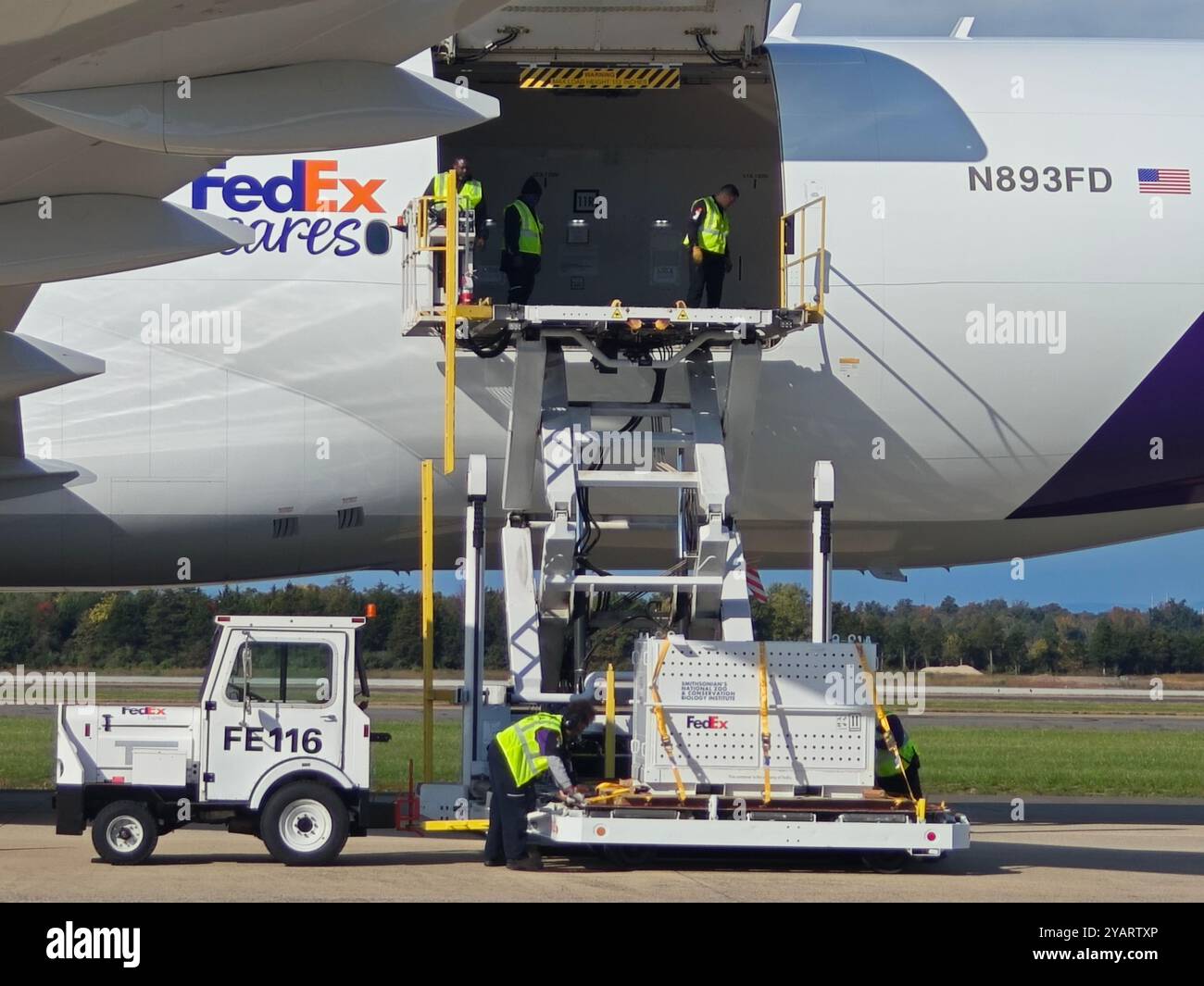 Dulles, États-Unis. 15 octobre 2024. Une caisse spéciale contenant un panda géant est déchargée à l'aéroport international de Dulles près de Washington, DC, aux États-Unis, le 15 octobre 2024. Deux pandas géants, Bao Li et Qing Bao, sont arrivés à Washington, DC mardi, après un voyage transpacifique d’environ 19 heures depuis la province du Sichuan, dans le sud-ouest de la Chine. Un Boeing 777F « FedEx Panda Express » dédié a atterri à l'aéroport international de Dulles près de Washington, DC vers 10 h, heure locale (1400 GMT). Crédit : Yang Shuang/Xinhua/Alamy Live News Banque D'Images