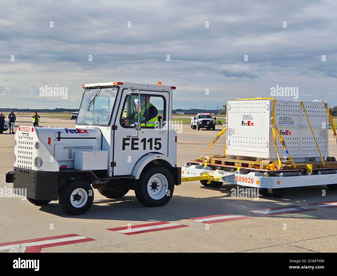 Dulles, États-Unis. 15 octobre 2024. Un travailleur transfère une caisse spéciale contenant un panda géant à l'aéroport international de Dulles près de Washington, DC, aux États-Unis, le 15 octobre 2024. Deux pandas géants, Bao Li et Qing Bao, sont arrivés à Washington, DC mardi, après un voyage transpacifique d’environ 19 heures depuis la province du Sichuan, dans le sud-ouest de la Chine. Un Boeing 777F « FedEx Panda Express » dédié a atterri à l'aéroport international de Dulles près de Washington, DC vers 10 h, heure locale (1400 GMT). Crédit : Yang Shuang/Xinhua/Alamy Live News Banque D'Images