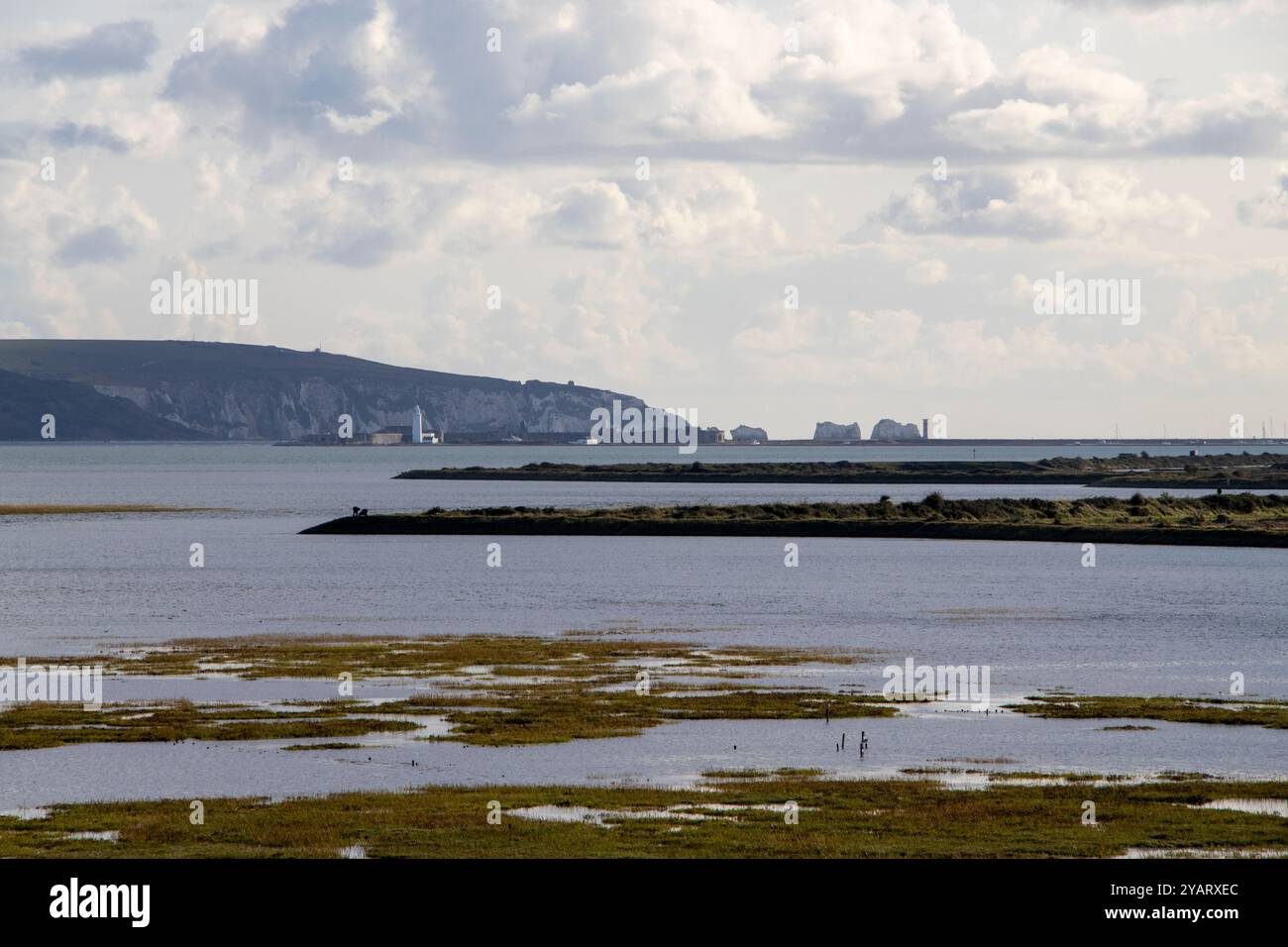 Île de Wight et les aiguilles de la rivière Lymington Banque D'Images