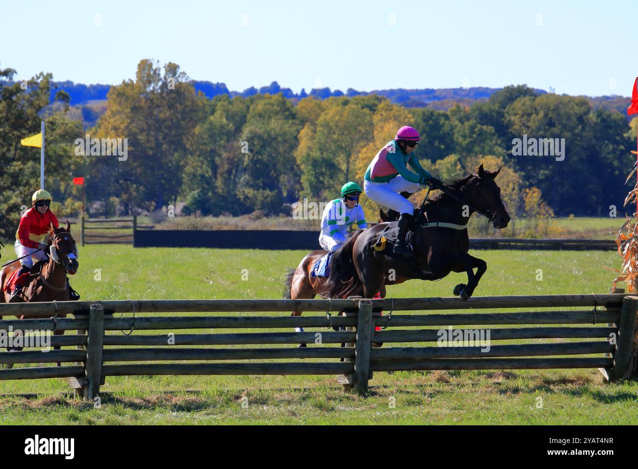 Geneseo, NY, États-Unis - 12 octobre 2024 - Horse and Rider franchit Un saut au-dessus du bois pendant les courses Genesee Valley Hunt. Dixième course, la vallée de Genesee Banque D'Images