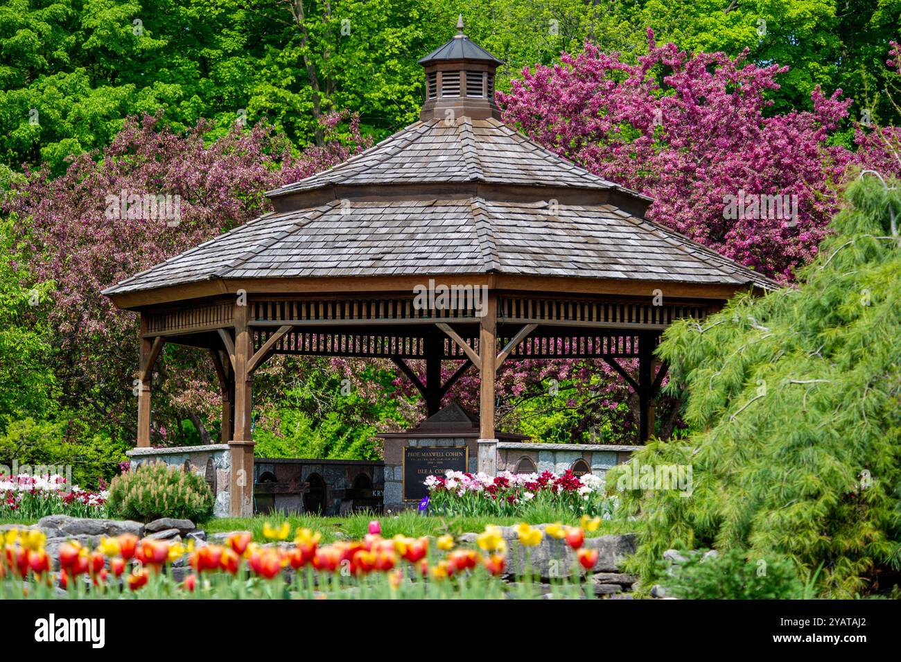 ProE. Maxwell Cohen & Isle A. Cohen - Beechwood Banque D'Images