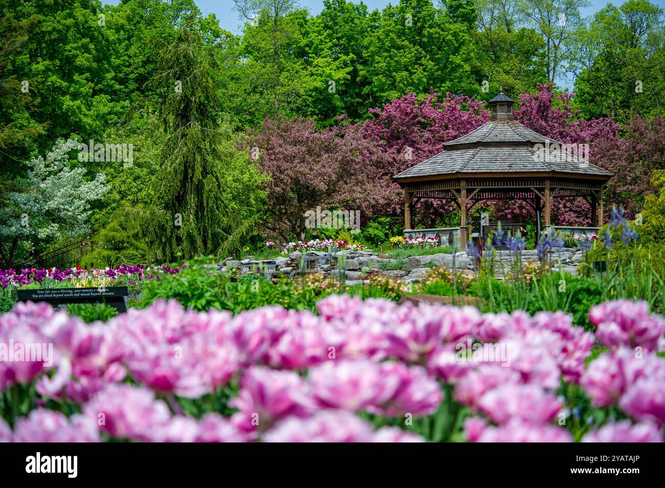 ProE. Maxwell Cohen & Isle A. Cohen - Beechwood Banque D'Images