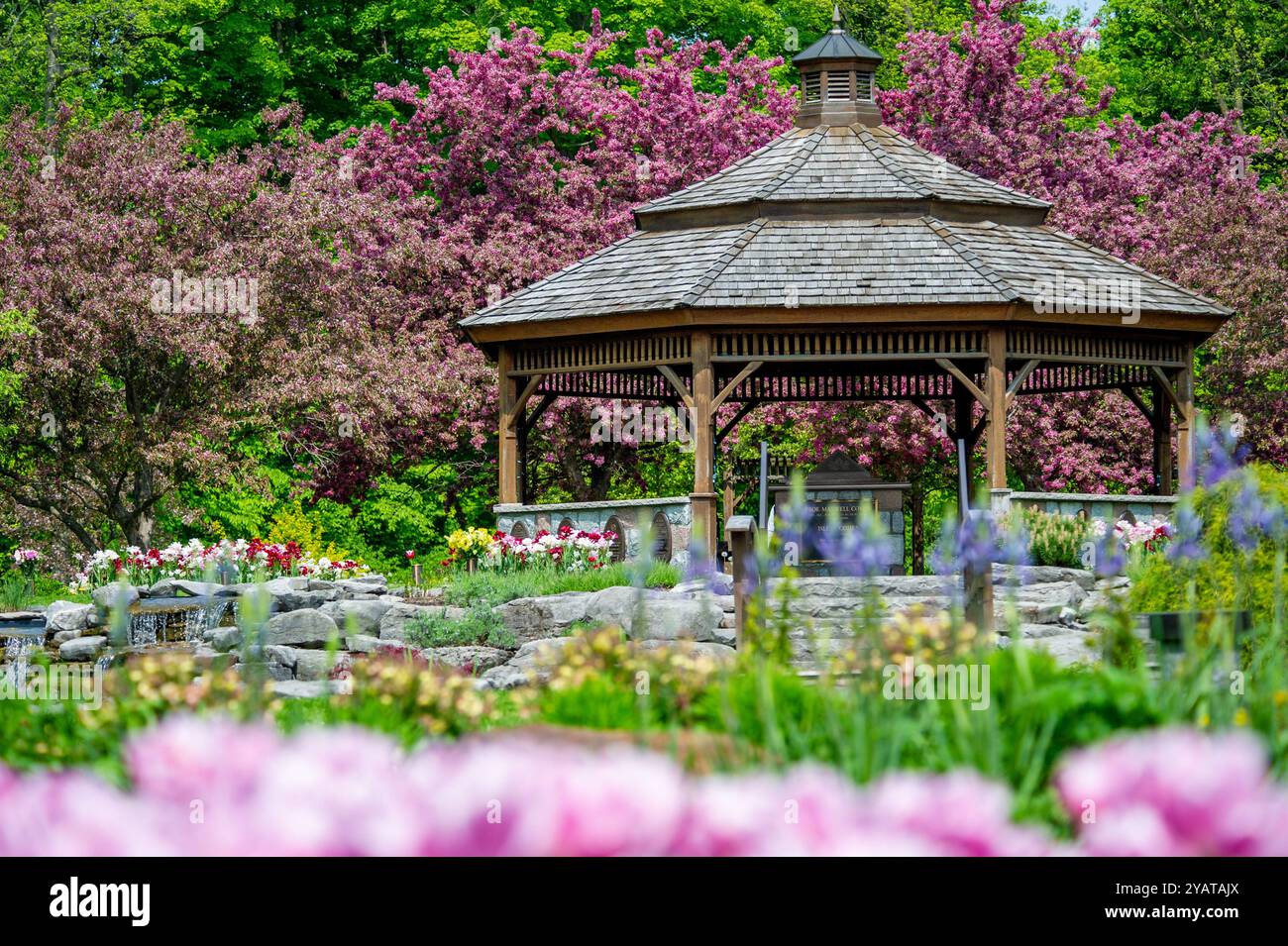 ProE. Maxwell Cohen & Isle A. Cohen - Beechwood Banque D'Images