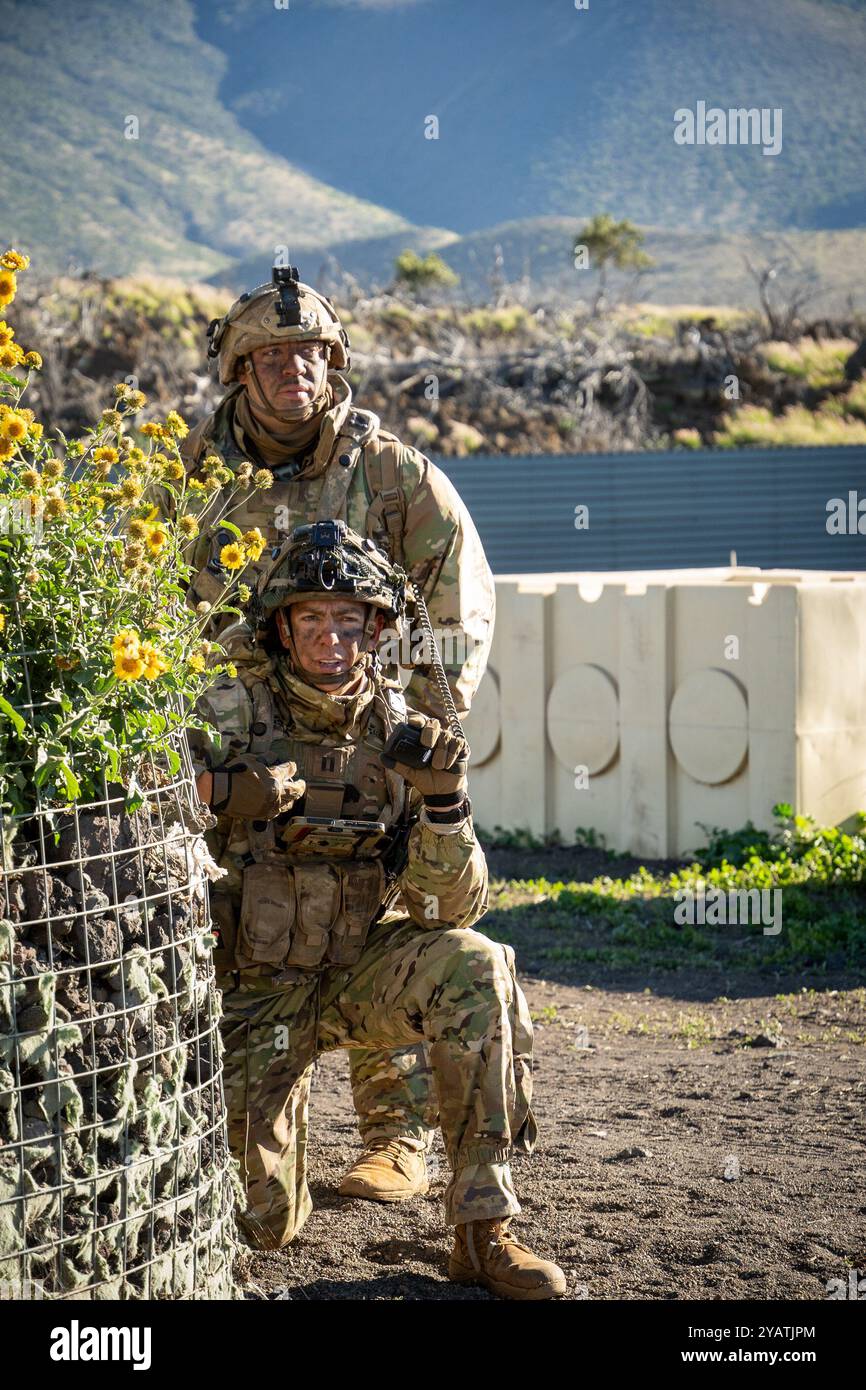 Les soldats de l'armée américaine affectés au 1er bataillon, 27e régiment d'infanterie, 2e brigade légère équipe de combat, 25e division d'infanterie, défendent le guerrier de la base opérationnelle avancée pendant le joint Pacific multinational Readiness Center (JPMRC) 25-01 à la zone d'entraînement de Pōhakuloa, Hawaï, 14 octobre 2024. Le JPMRC est le plus récent Centre d’entraînement au combat (CCT) de l’Armée de terre et génère une disponibilité opérationnelle dans les environnements et les conditions où nos forces sont les plus susceptibles d’opérer. JPMRC 25-01 souligne notre engagement envers le partenariat et un Indo-Pacifique libre et ouvert et comprend des participants de formation de toute la Force interarmées des États-Unis an Banque D'Images