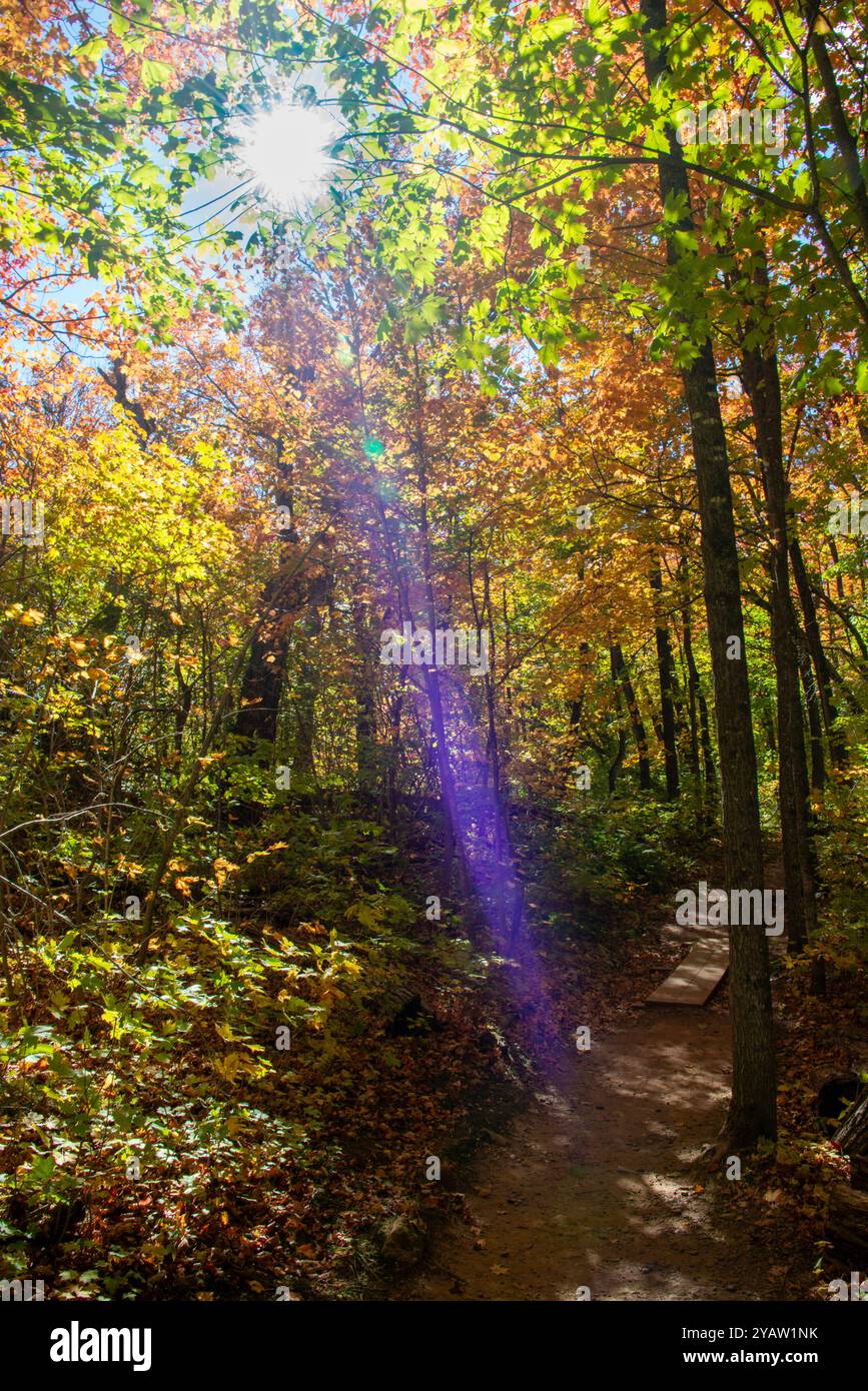 Randonnée d'automne dans les North Woods du Minnesota Banque D'Images