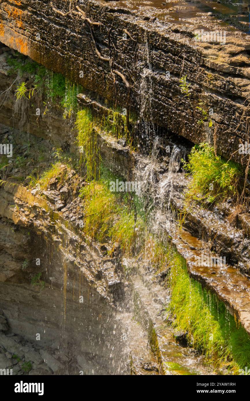 High Falls en été, île Manitoulin. Banque D'Images