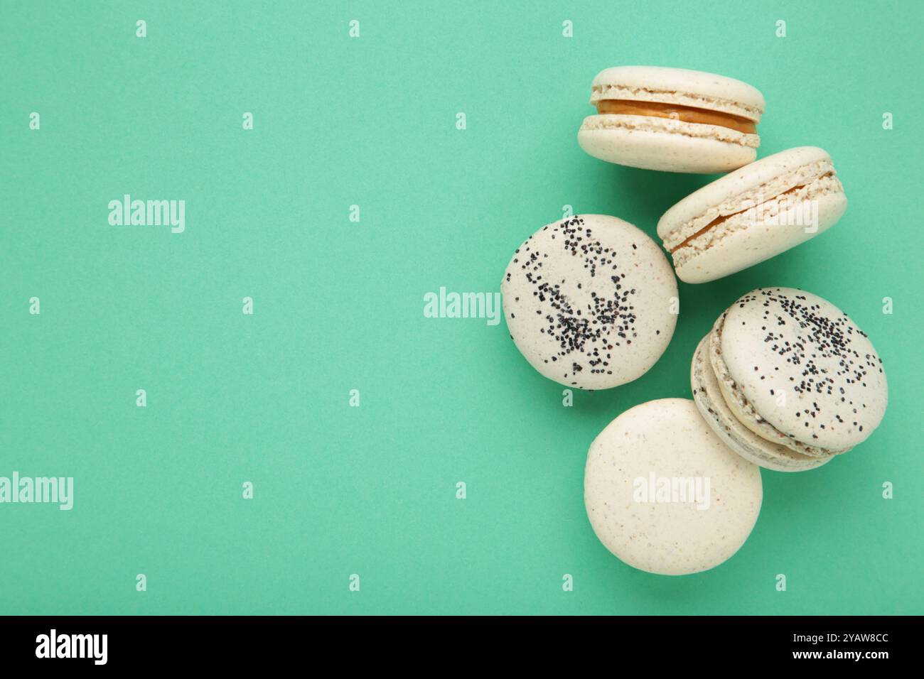 Macaron gâteau ou macaron sur fond de menthe. Espace pour le texte. Vue de dessus Banque D'Images