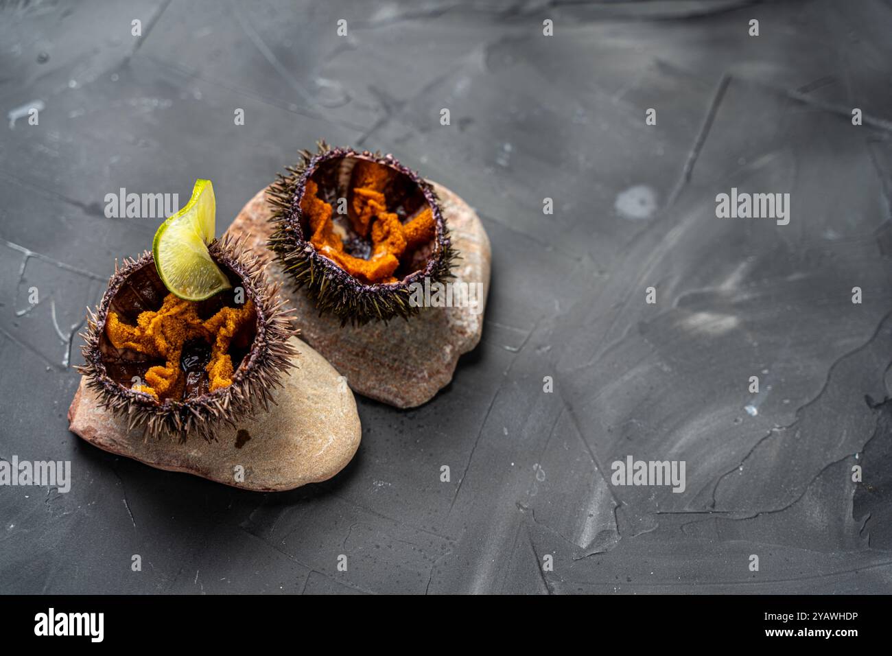 Oursins de mer crus dans une coquille avec de la chaux sur des pierres de mer sur un fond gris. Copyspace. Photo de haute qualité Banque D'Images