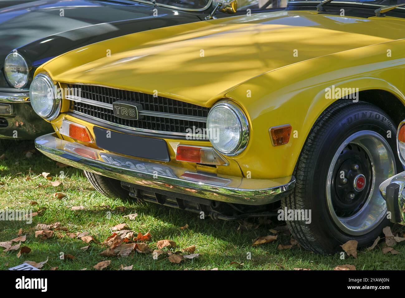 Triumph jaune tr6 garé sur herbe montrant l'avant et le phare Banque D'Images