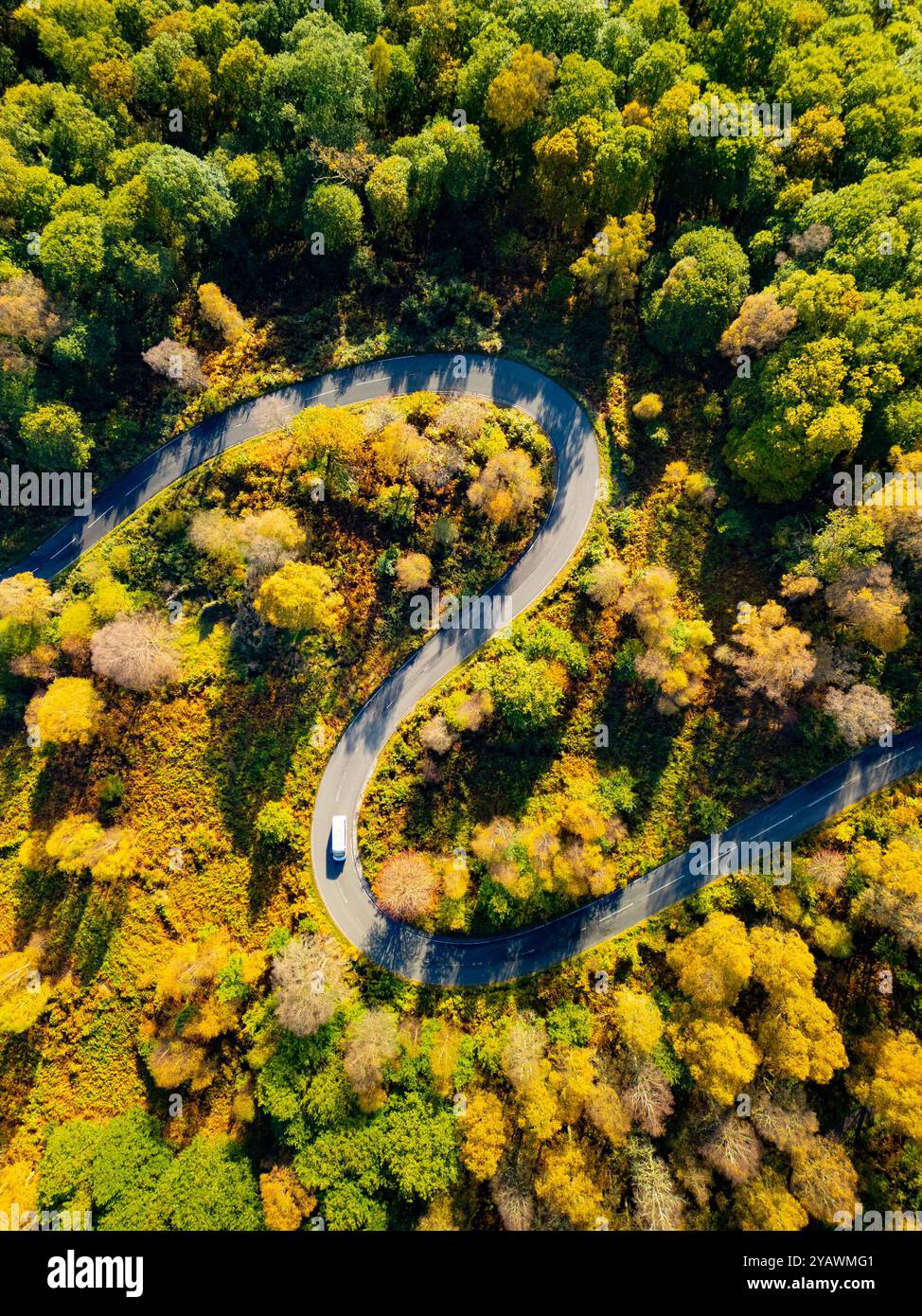 Vue aérienne de la route tordue sur le col du Duc entouré d'arbres dorés en automne à Aberfoyle, Écosse, Royaume-Uni Banque D'Images