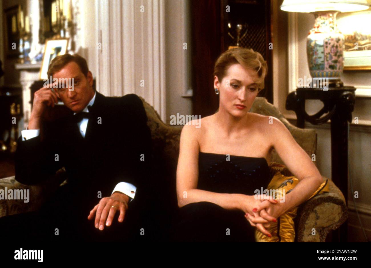 Année : 1985 Royaume-Uni / USA réalisateur : Fred Schepisi Charles Dance, Meryl Streep Banque D'Images