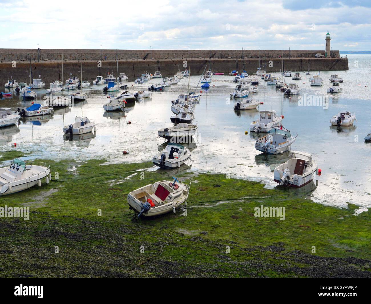 France, le port de la petite ville de Binic dans les côtes d'Armor, le long du GR34, le célèbre chemin douanier. BRETAGNE, BRETON, OUEST DE LA FRANCE, PAYSAGE, MER, BORD DE MER, PLAGE, VACANCES, VACANCES, LOISIRS, TOURISME, TOURISTE, VOYAGEUR, VACANCES, RANDONNÉE, RANDONNEUR , MARCHE, TREKKING, VISITE, CHEMIN DE DOUANE, CHEMIN CÔTIER, MÉTÉO, VILLE, STATION DE MER, BATEAU DE PLAISANCE, NAVIRE, JETÉE, BRISE-DIGUE, crédit : MHRC/Photo12 Banque D'Images
