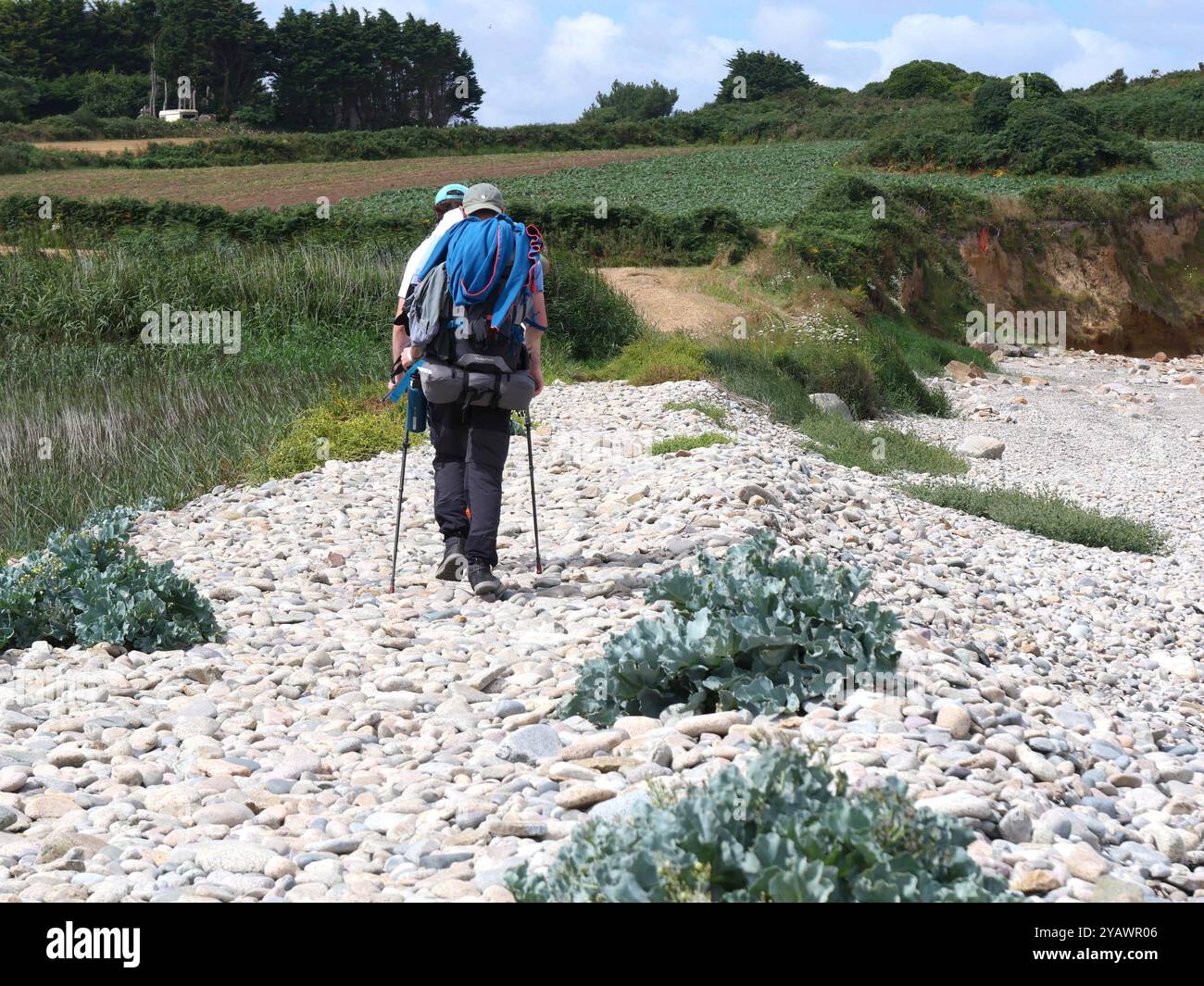 Brittany. Autour de Kermagen dans les côtes d'Armor, le long du GR34, le célèbre chemin des douaniers. BRETAGNE, BRETON, OUEST DE LA FRANCE, PAYSAGE, MER, BORD DE MER, PLAGE, VACANCES, VACANCES, LOISIRS, TOURISME, TOURISTE, VOYAGEUR, VACANCES, RANDONNÉE, RANDONNEUR , MARCHE, TREKKING, VISITE, CHEMIN DE DOUANE, CHEMIN CÔTIER, MÉTÉO, VILLE, STATION DE MER, VERDURE, VILLE, VILLAGE, HAMEAU, MAISON, CAILLOUX CRÉDIT:MHRC/PHOTO12 Banque D'Images