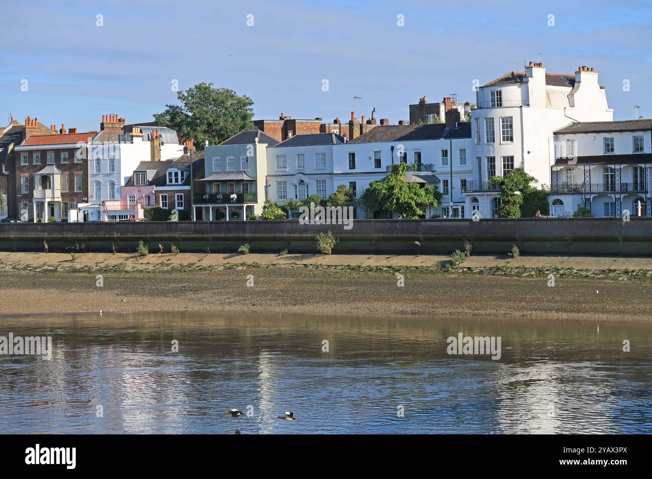 The Terrace, la route A3003 au bord de la rivière Thames à Barnes, à l'ouest de Londres. Célèbre pour être la ligne d'arrivée de la course annuelle de bateaux de l'Université. Banque D'Images