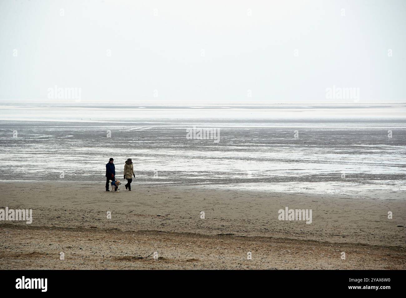 Promeneurs de chiens sur la plage de Lytham St Annes, nord-ouest de l'Angleterre, Royaume-Uni Banque D'Images