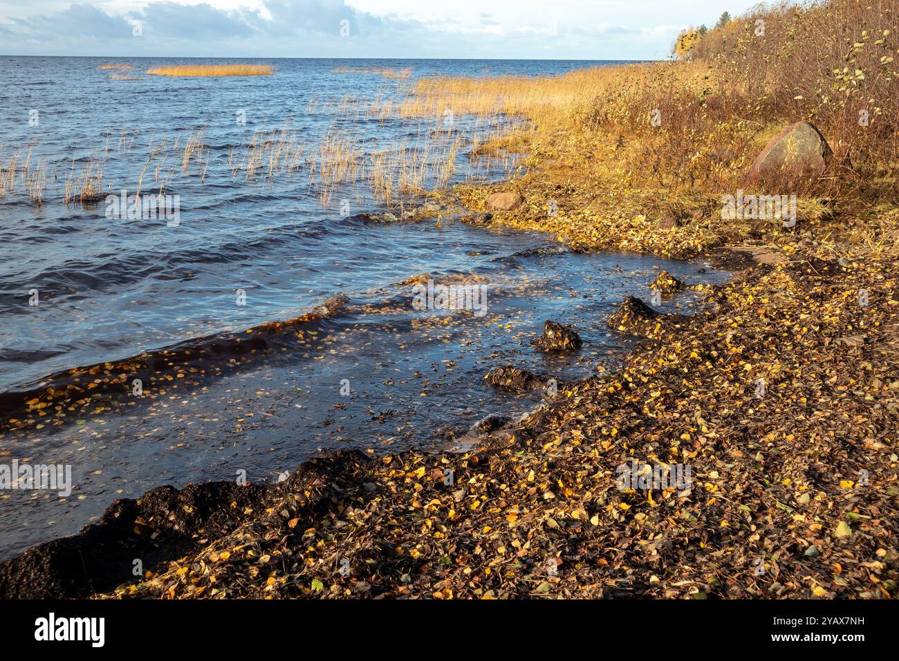 Paysage de bord de mer d'automne à Kurtinhauta, Oulu Finlande Banque D'Images