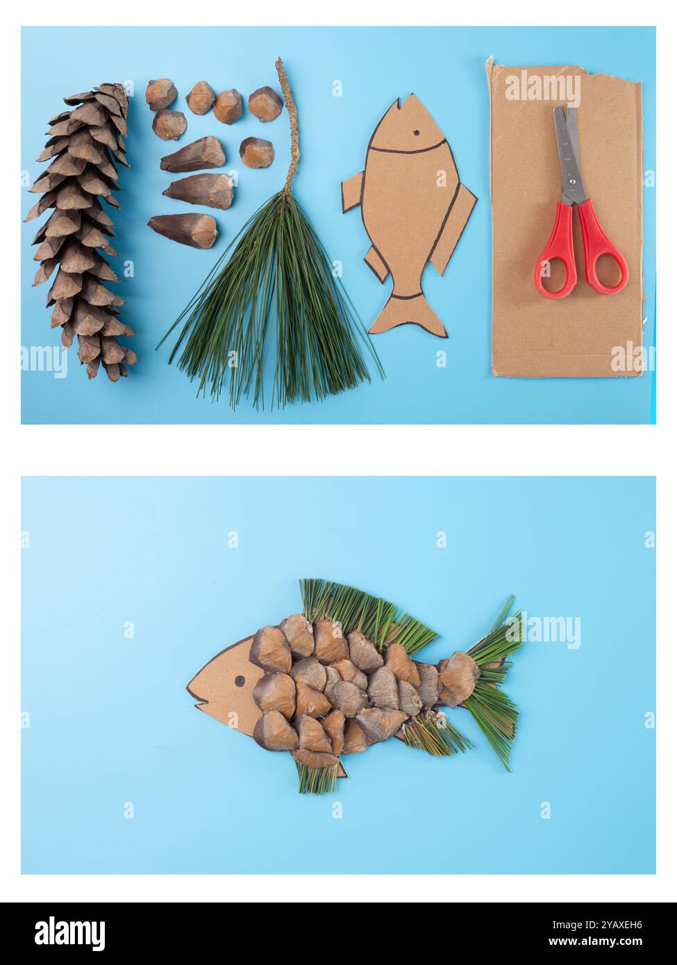 Tutoriel artisanal en forme de poisson DIY avec des écailles de graines de pommes de pin et des aiguilles, des matériaux en carton sur fond bleu. La nature créative a inspiré l'art saisonnier Banque D'Images