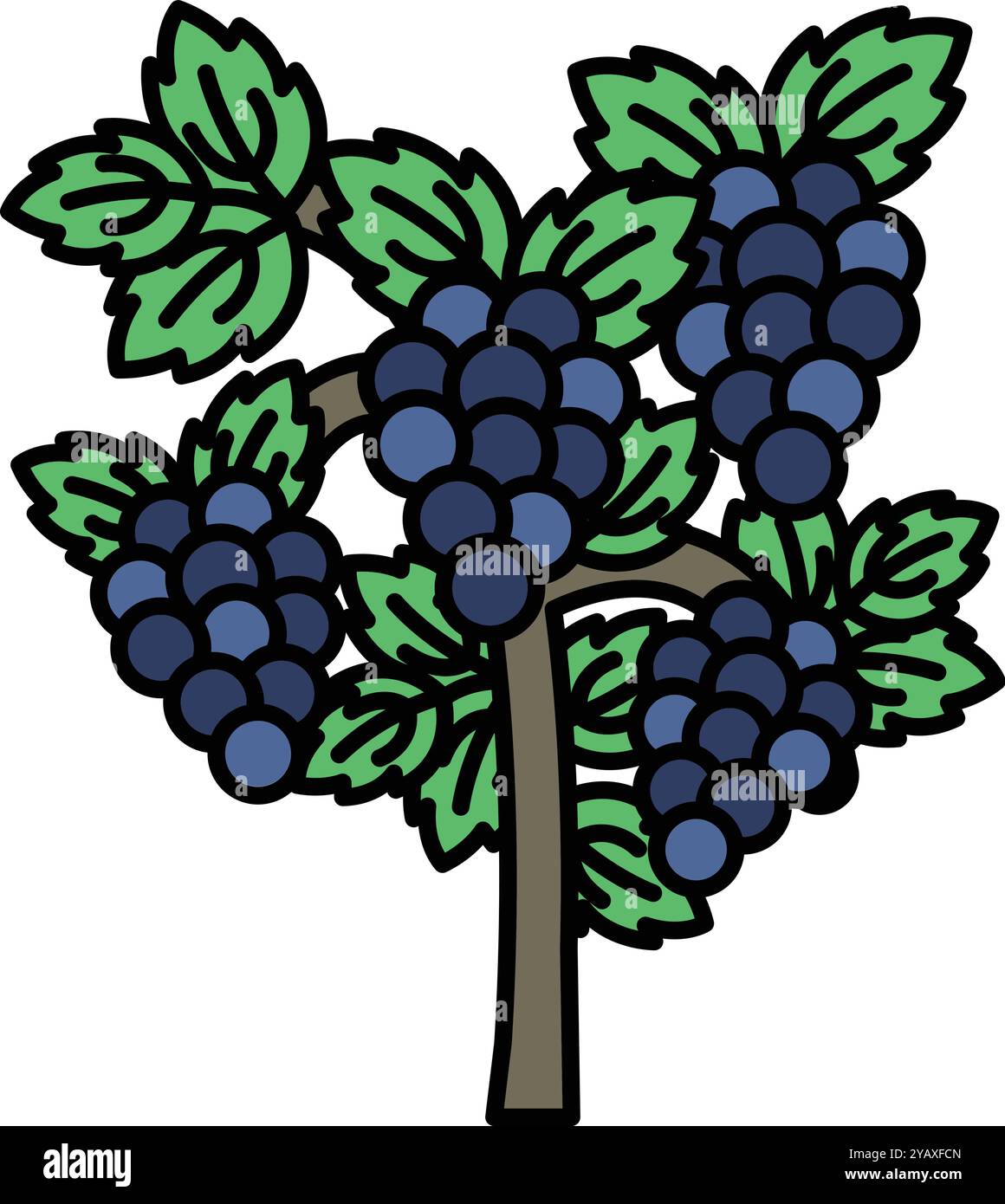 Un arbre avec des feuilles vertes et des raisins bleus. Les raisins sont regroupés et suspendus à l'arbre Illustration de Vecteur