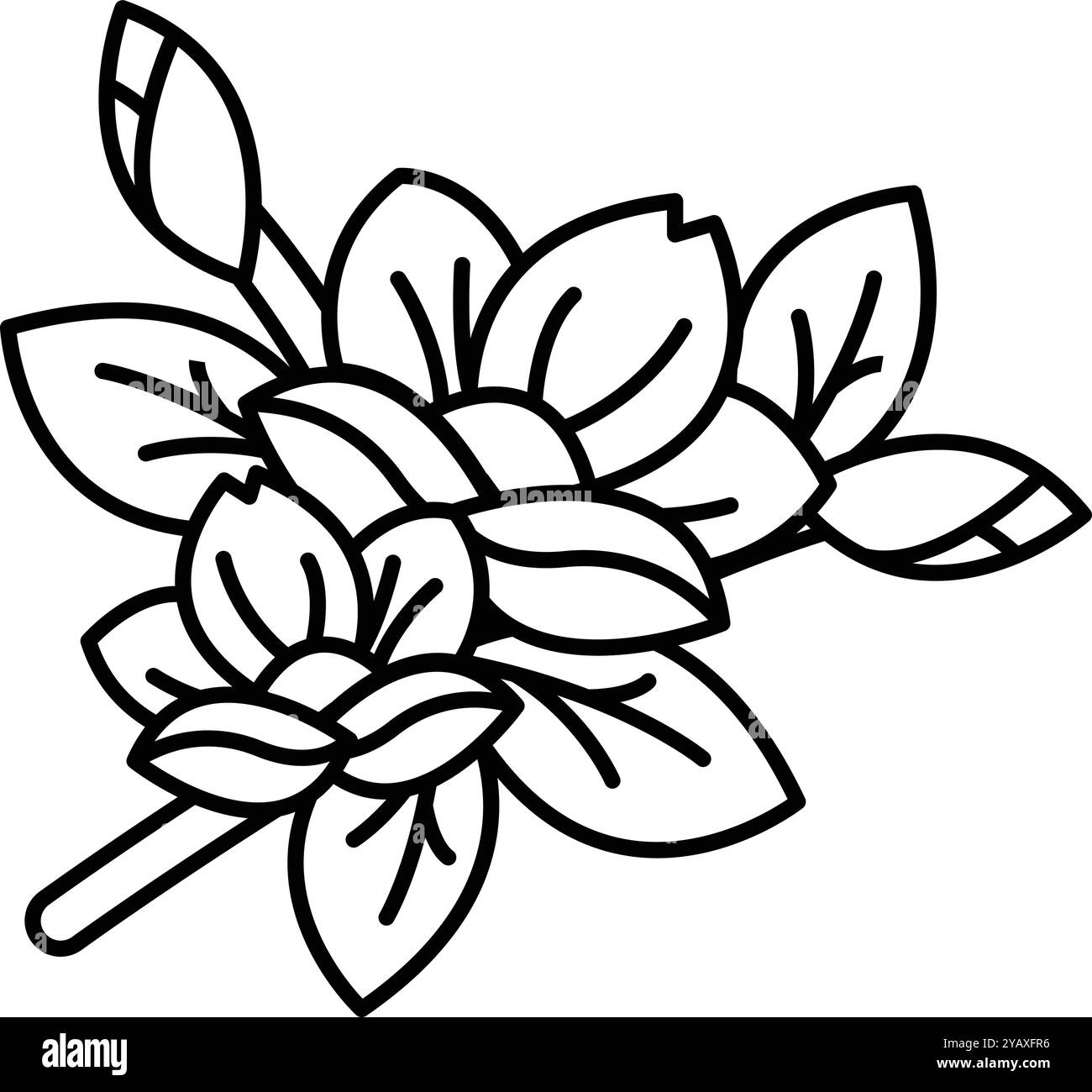 Un dessin d'une fleur avec des feuilles et des pétales Illustration de Vecteur