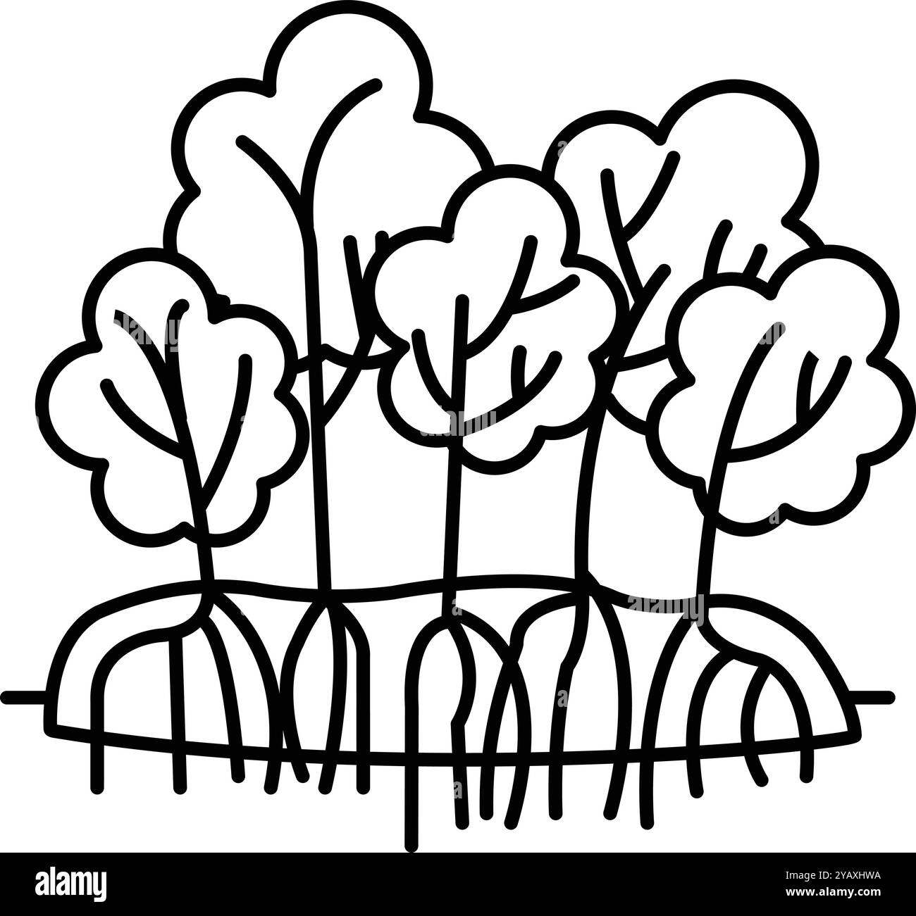 Un dessin d'une forêt de mangroves avec des arbres et des racines Illustration de Vecteur