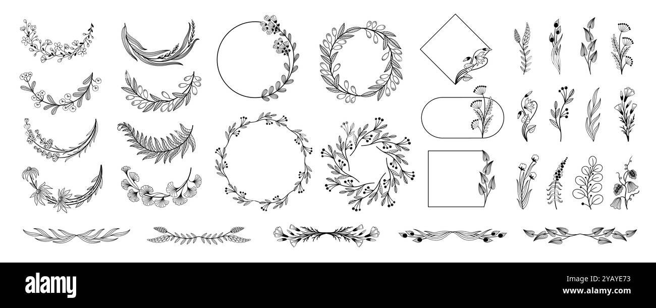 Bordures florales et séparateurs. Cadres de plantes décoratifs élégants et séparateurs ornementaux monogramme pour carte d'invitation de mariage. Ensemble isolé de vecteur Illustration de Vecteur