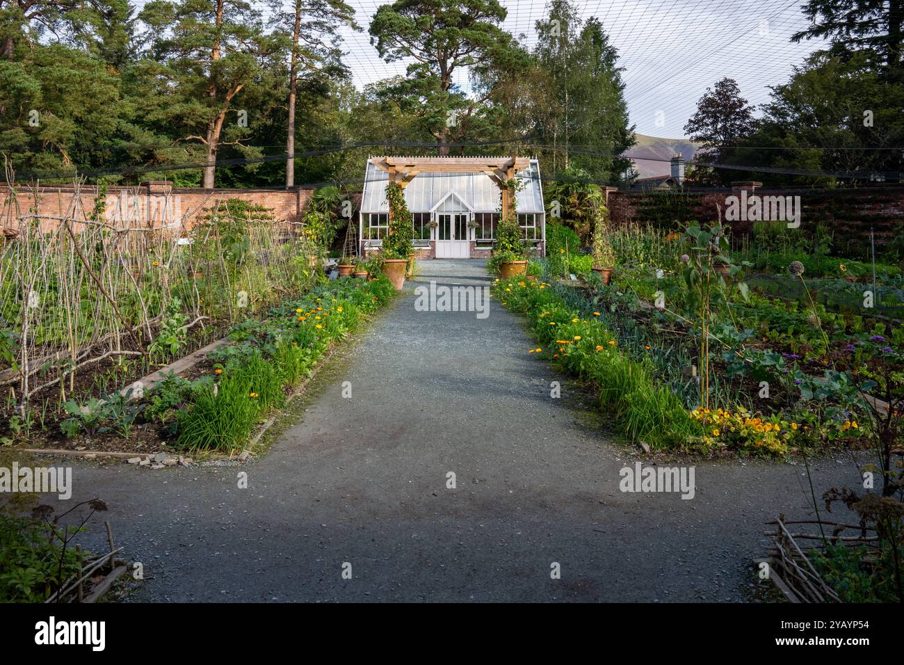 Un beau jardin clos formel avec serre de style victorien et patch de légumes dans un jardin de campagne anglais Banque D'Images